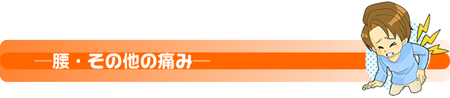 ―腰･その他の痛み―